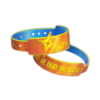 Supporting Image